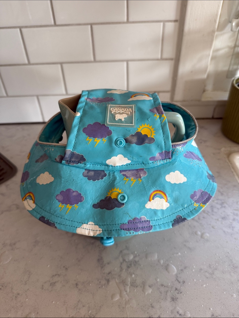 Canada Pooch Torrential Tracker Rain Hat Blue & Purple